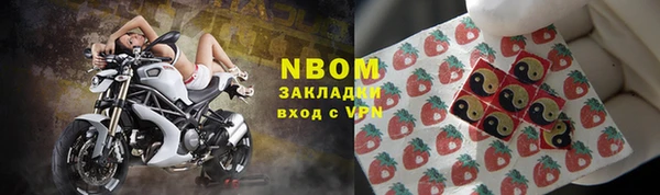шишки Аркадак