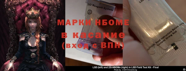 шишки Аркадак