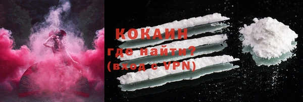 шишки Аркадак