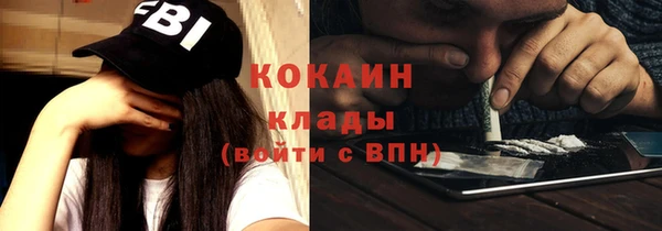 шишки Аркадак