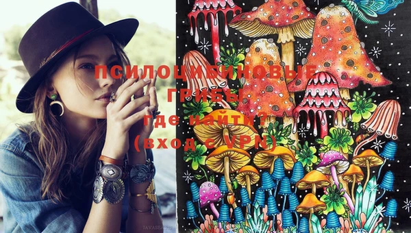 PSILOCYBIN Арсеньев