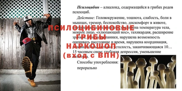 шишки Аркадак