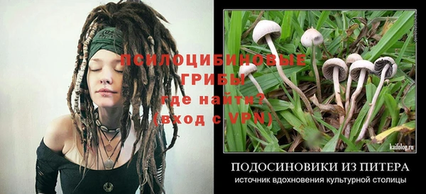 гашик Армянск