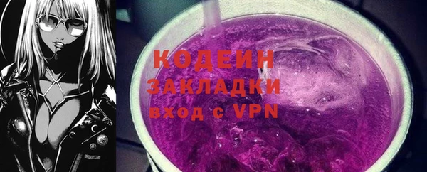 шишки Аркадак