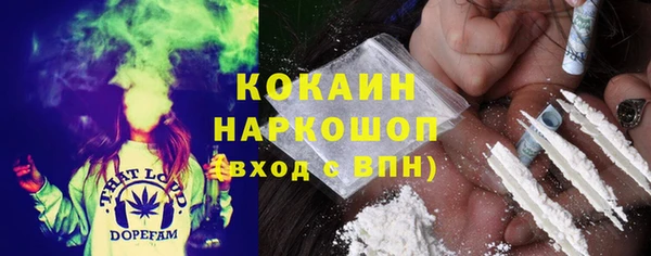 шишки Аркадак