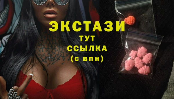 шишки Аркадак