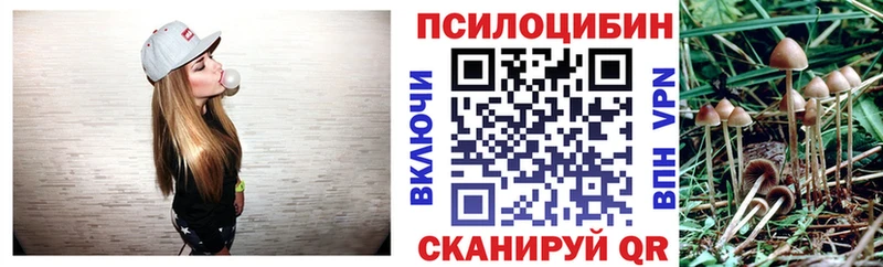сайты даркнета клад  купить  сайты  Стародуб  Псилоцибиновые грибы мицелий 