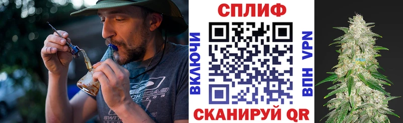 OMG ССЫЛКА  наркотики  Стародуб  Конопля индика 